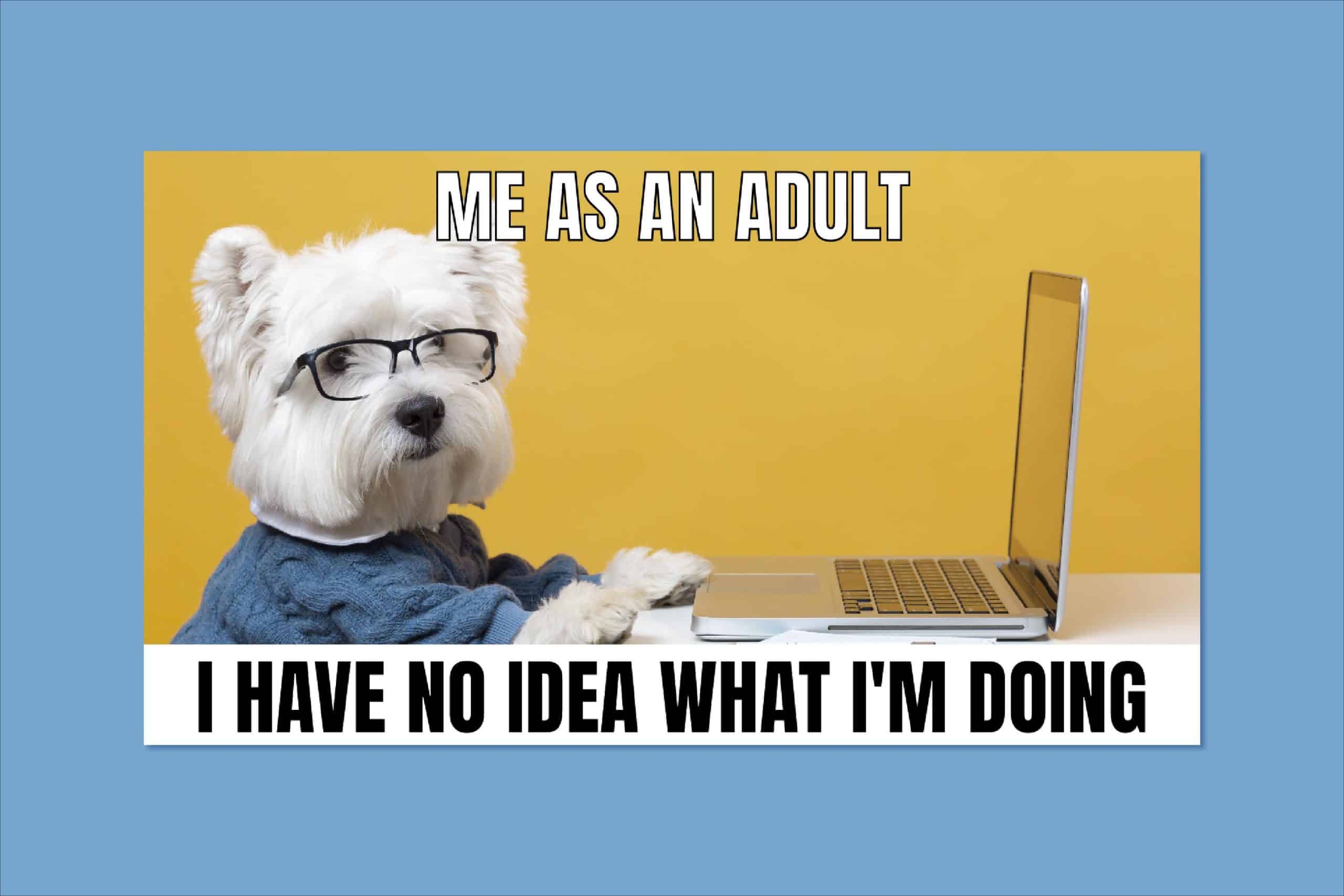 What You Can Learn About Culture by Studying Memes