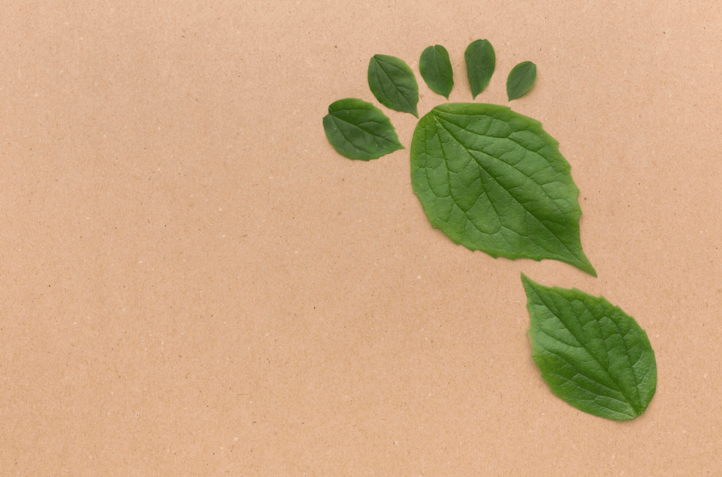 Small Ways to Reduce Your Carbon Footprint at Home