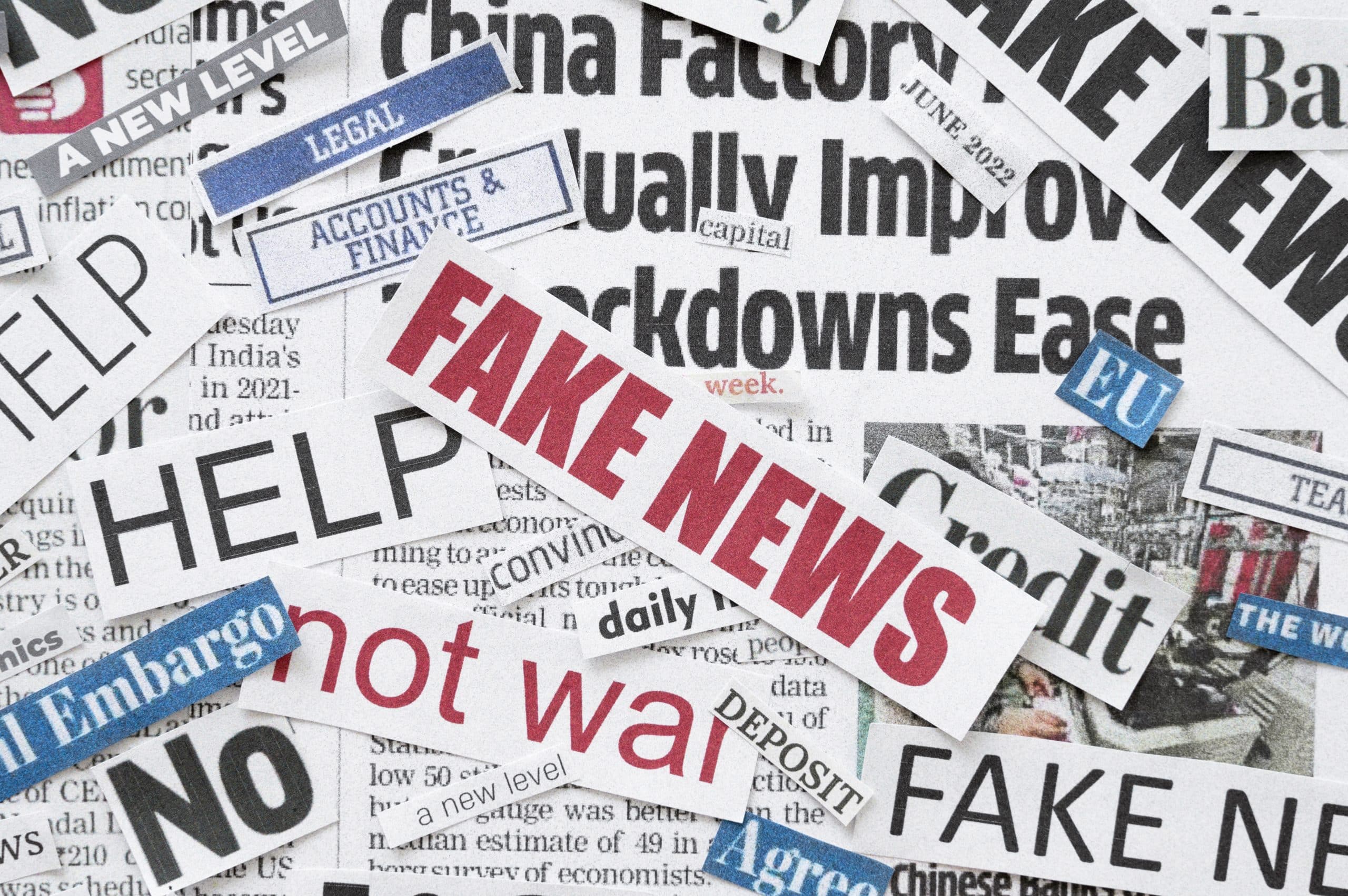 The Logic of Why We Believe Fake News