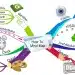 Why Mind Mapping Still Works in 2025