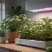 smart home gardens indoor growing