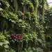 vertical gardens small spaces