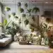 indoor plants transform spaces