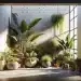 indoor plants small spaces